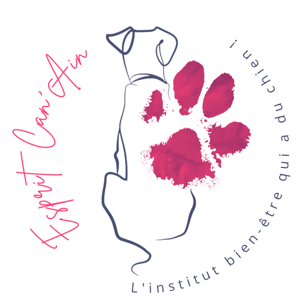 création site internet ZI plaine de l'Ain LNwebconcept